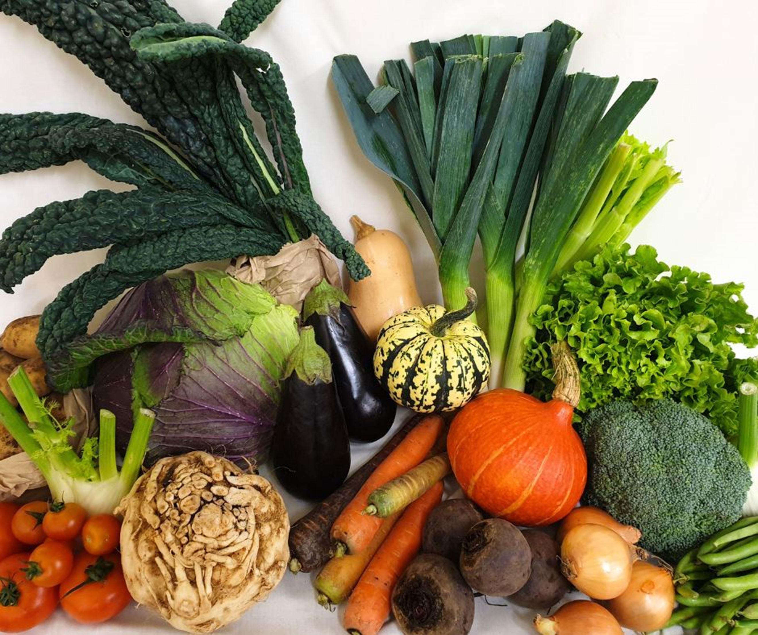 Pennine Cropshare Veg Bags