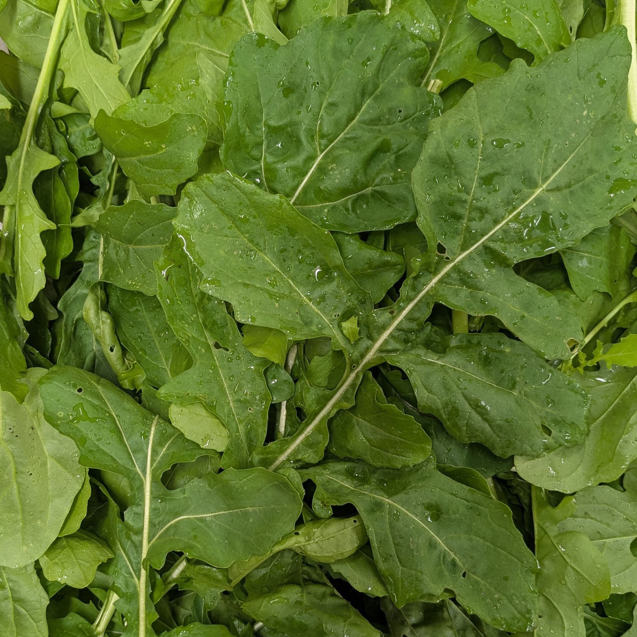 100g Local Rocket Leaves