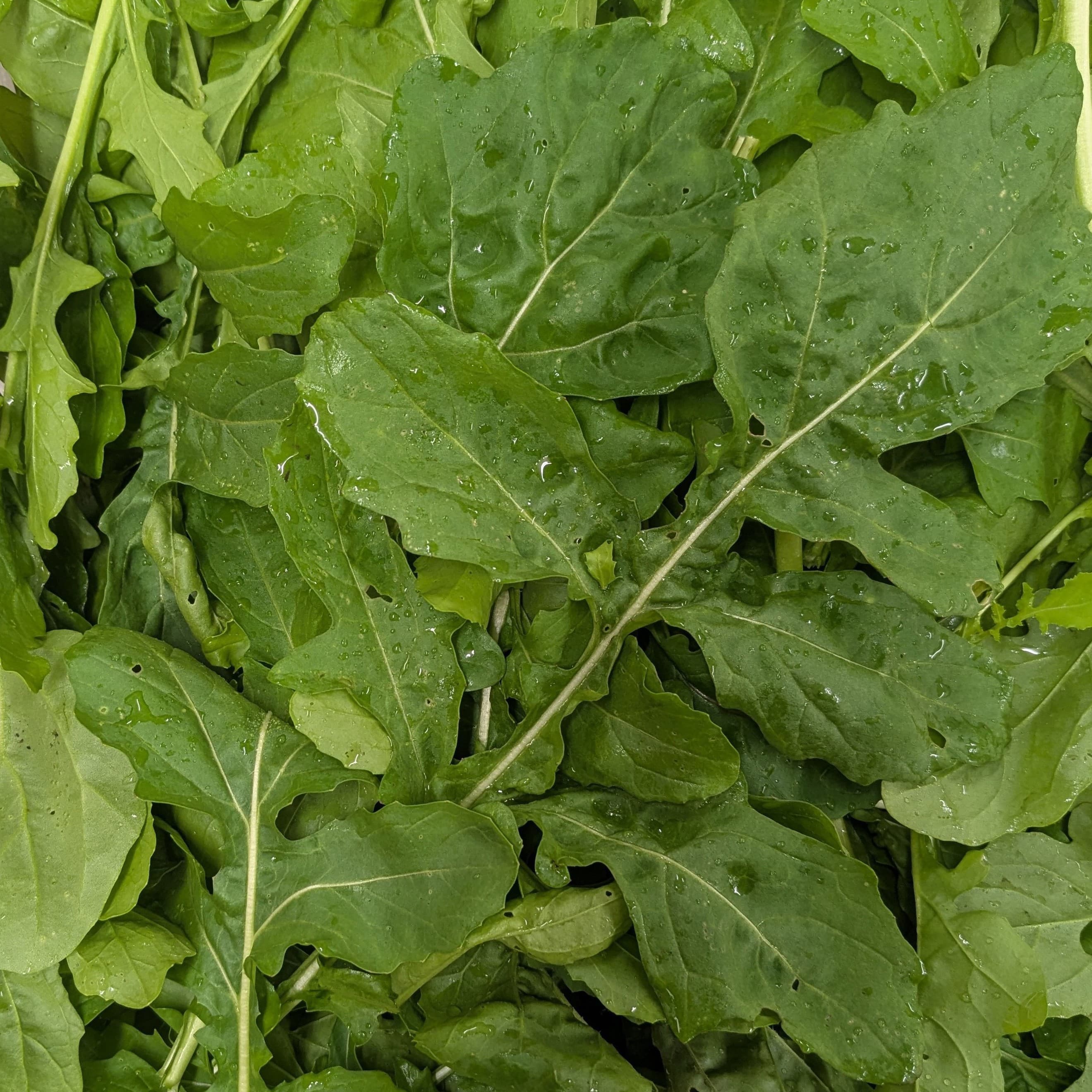 100g Local Rocket Leaves