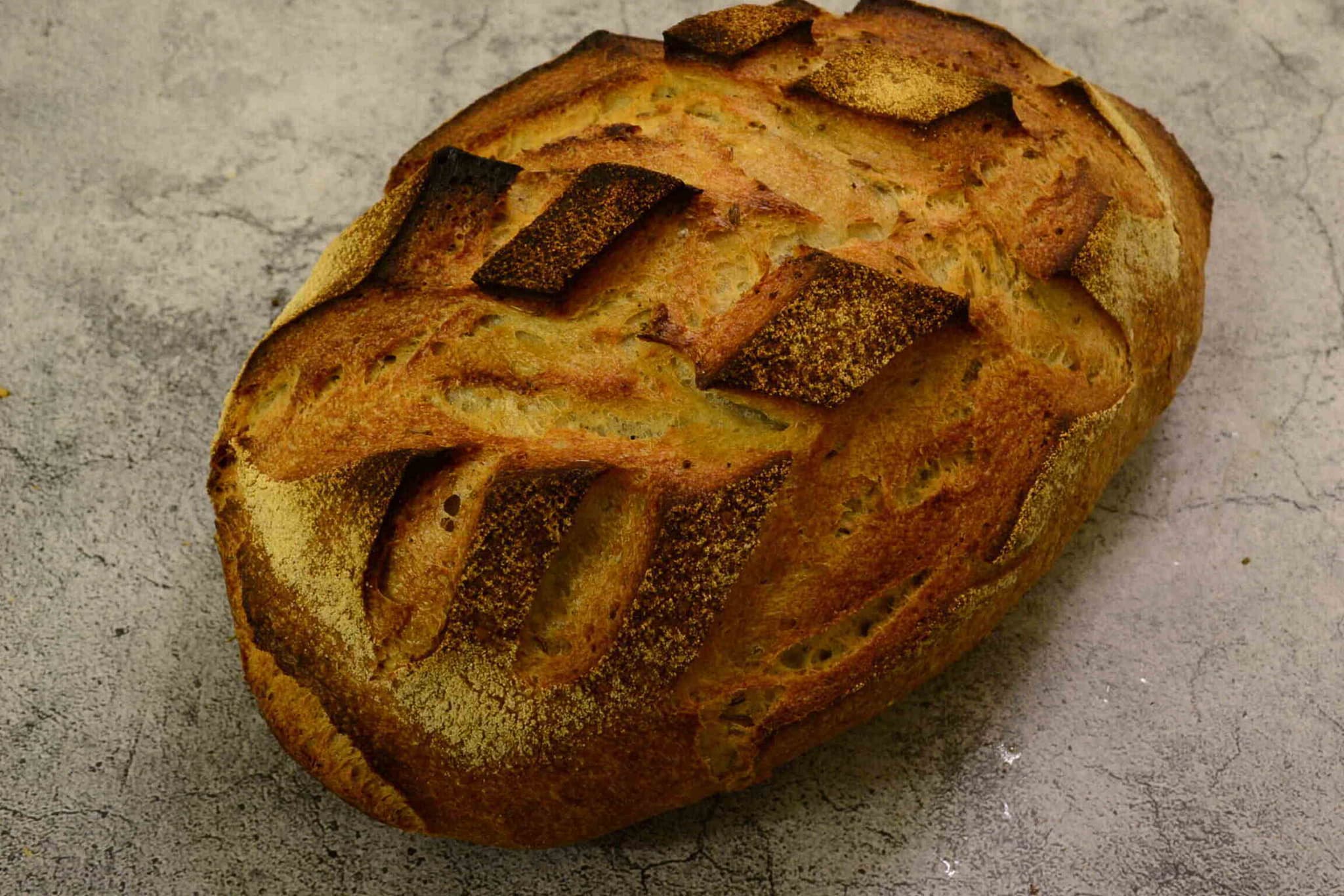 New York Rye Sourdough