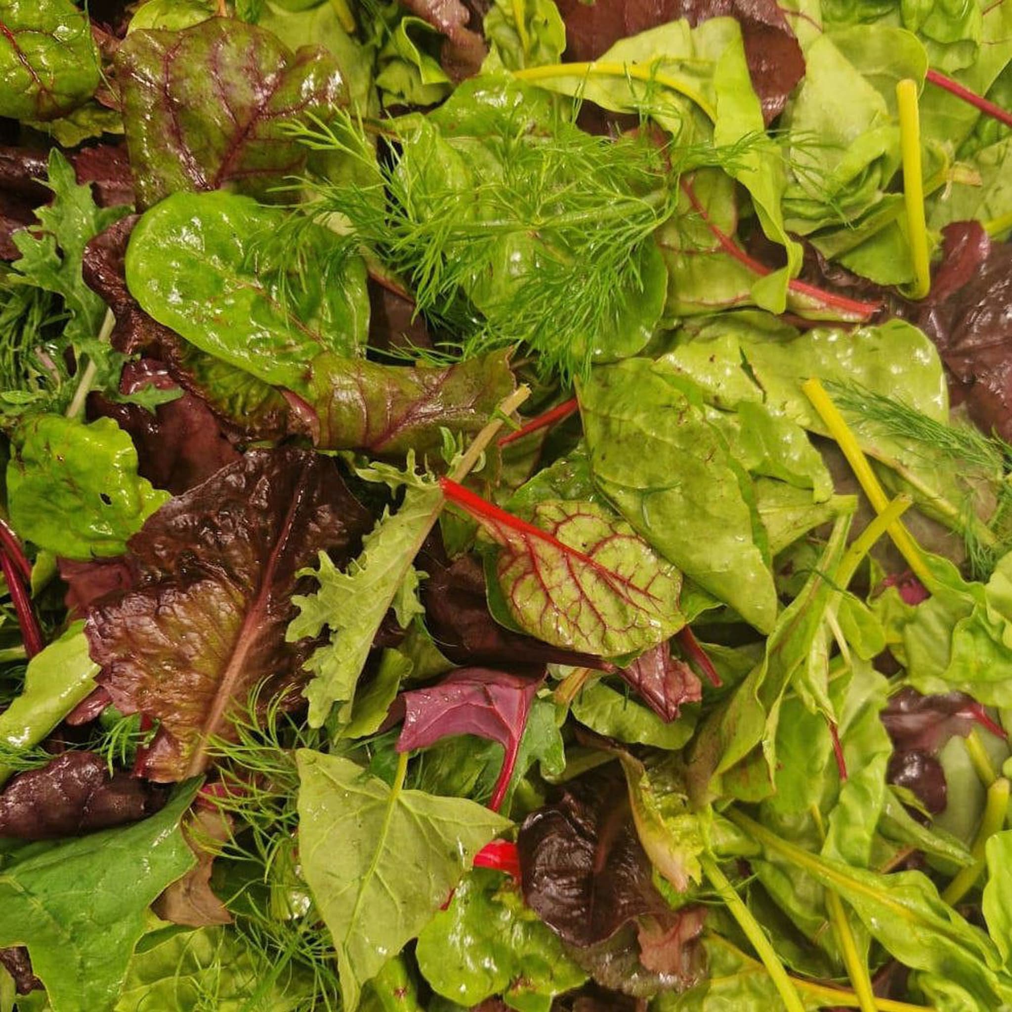 125g Local Mixed Salad
