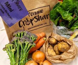 Image of Mini Veg Bag