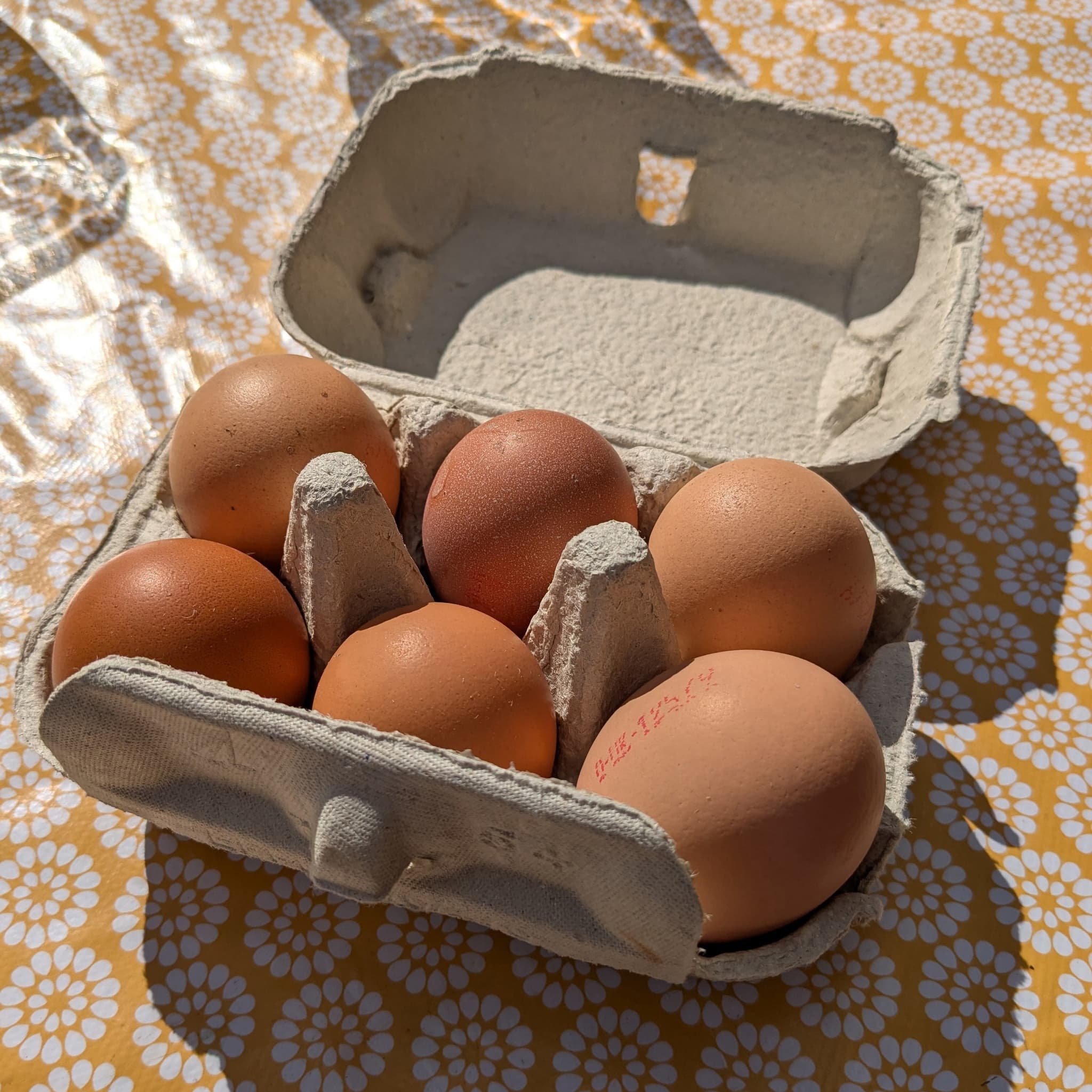 Eggs