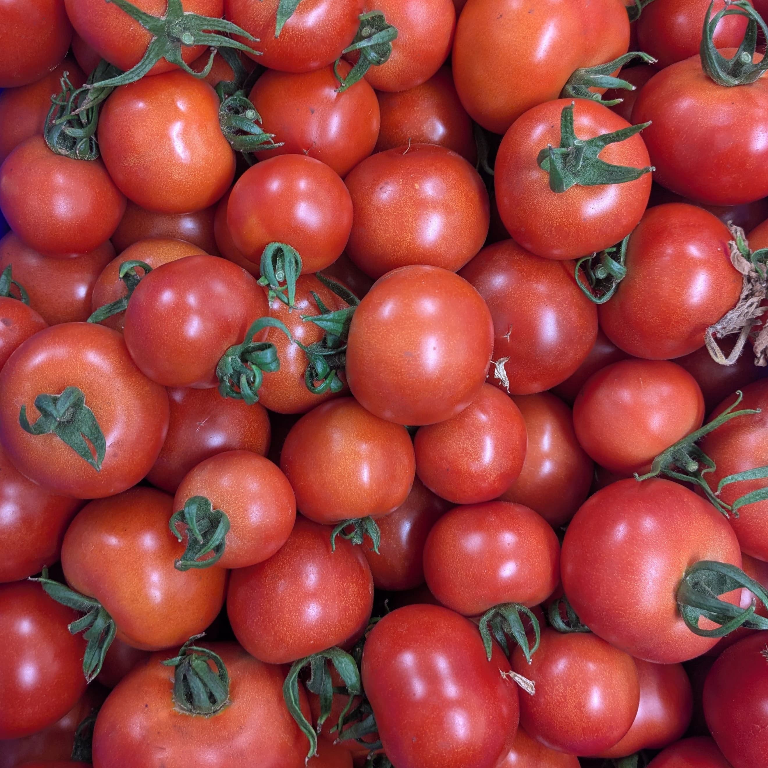 Local Tomatoes