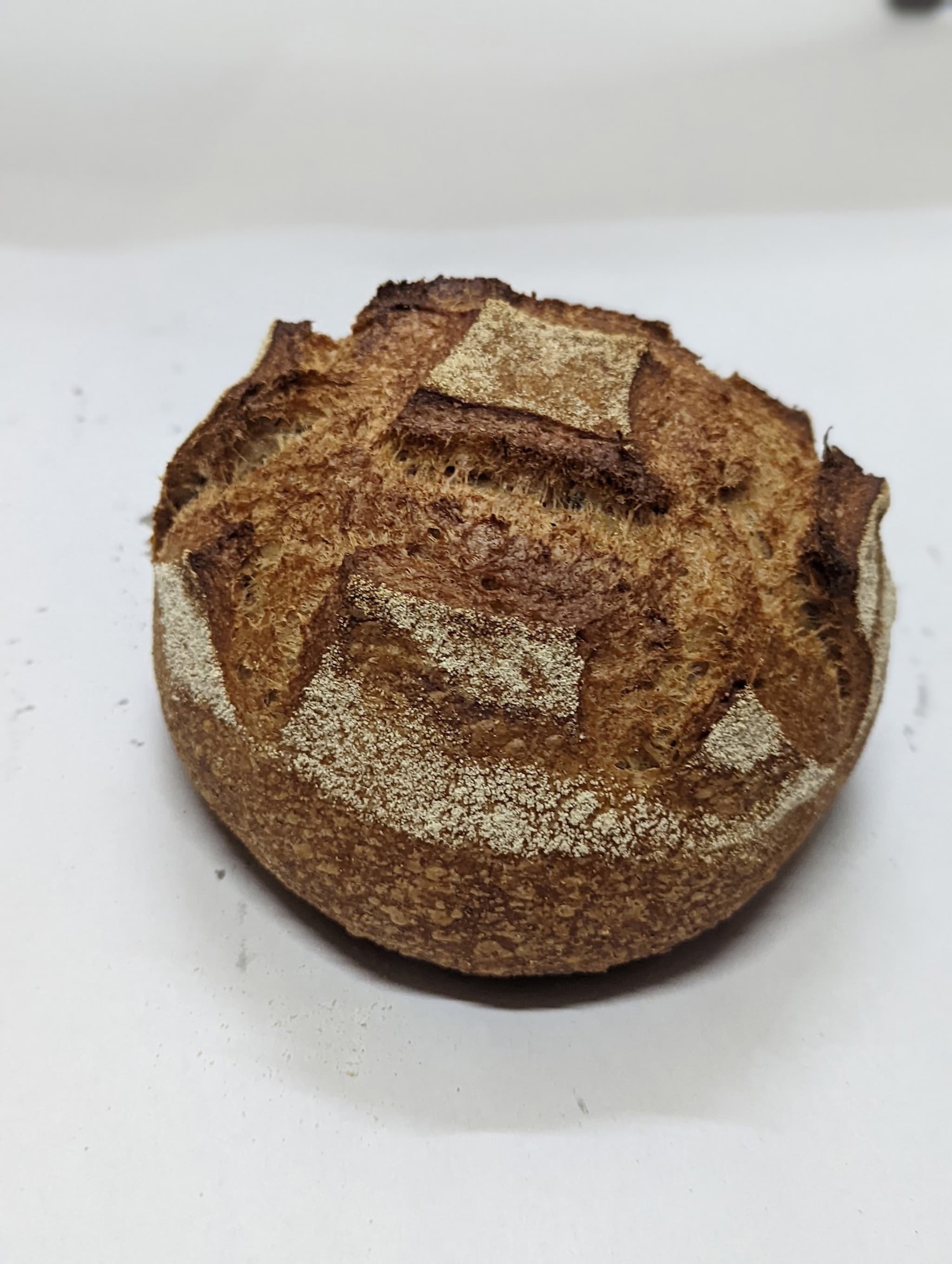 Country Sourdough Loaf