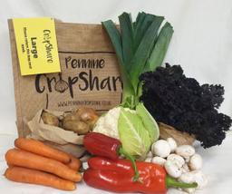 Image of Large Veg Bag